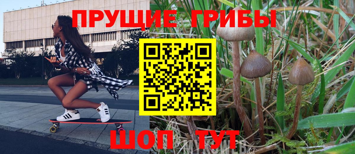 Кирово-Чепецк  где продают наркотики  Вход с VPN  Псилоцибиновые грибы GOLDEN TEACHER 