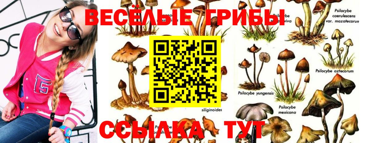 Галлюциногенные грибы Magic Shrooms Кирово-Чепецк